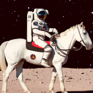 公马兽交女人逼视频网站
