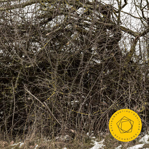 公马兽交女人逼视频网站
